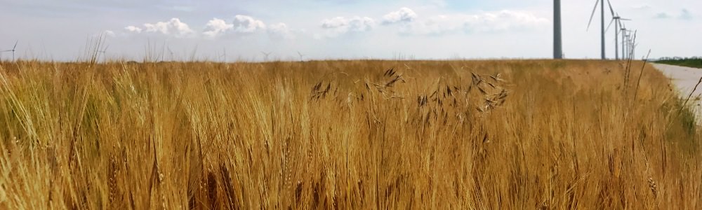 Paul Vermast - Landbouw