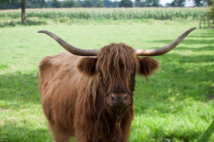 Vermast fotografie-3747