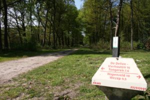 Vermast Fotografie - Paddenstoel ANWB